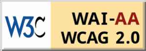 W3C WAI-AA, WCAG 2.0